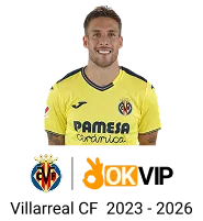 Hình ảnh minh họa hành trình phát triển và các cột mốc quan trọng của ok365 tại thị trường cá cược Việt Nam